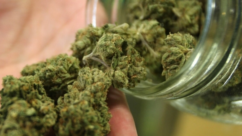 Ohio Is Getting Ready to Legalize Marijuana, But Addiction Experts Are Worried!