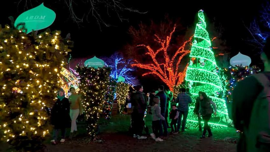 Alert: New Texas Law Bans Popular Christmas Decoration This Holiday Season!