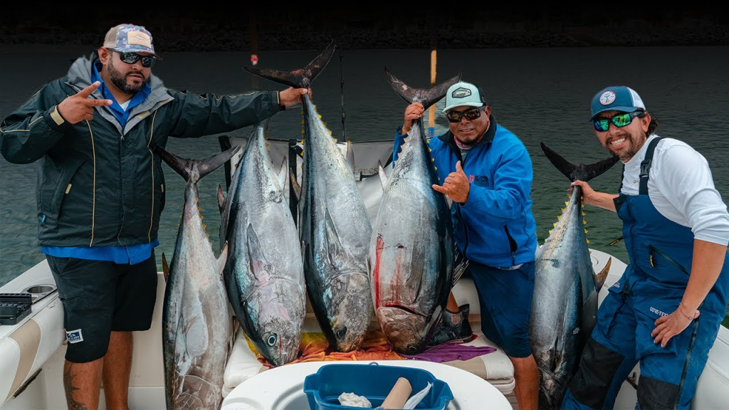 Southern California's New Trend: Pink Nomad Lures for Bluefin Tuna!