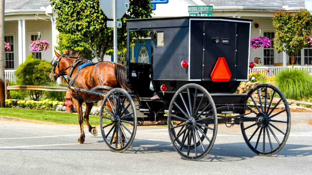 In the Walmart Parking Lot, an Amish Horse and Wagon Were Stolen While the Family Shopped!