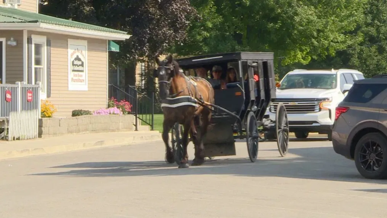 In the Walmart Parking Lot, an Amish Horse and Wagon Were Stolen While the Family Shopped!