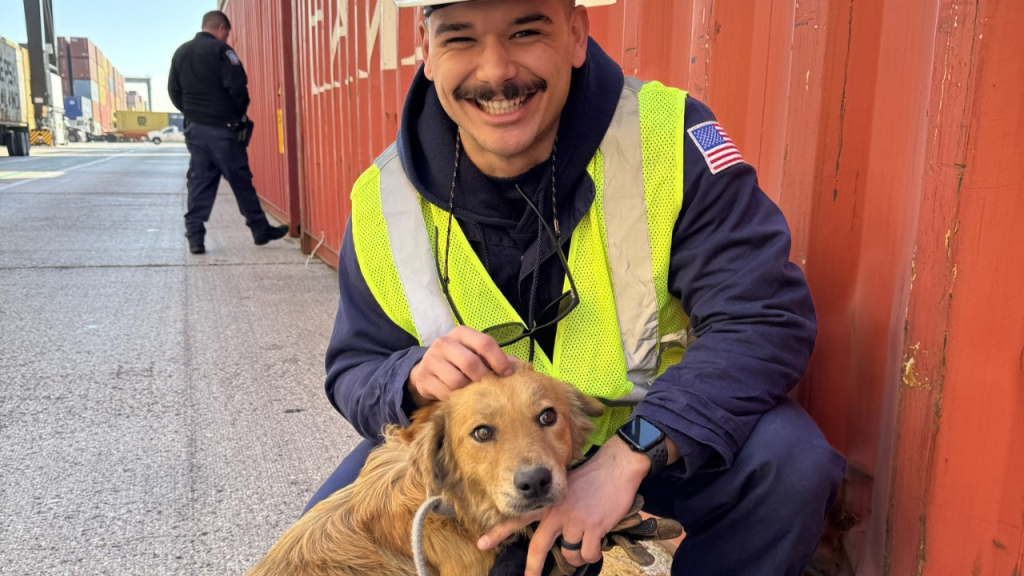 The United States Coast Guard Rescued a Dog from A Cargo Container in Texas!