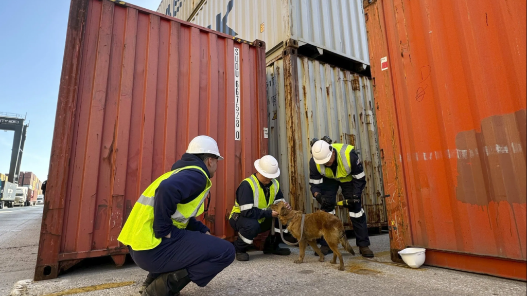 The United States Coast Guard Rescued a Dog from A Cargo Container in Texas!