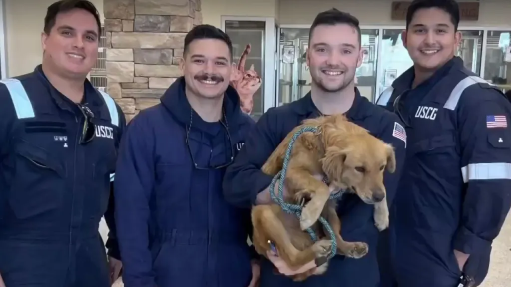 Heartwarming: Coast Guard Rescues Pregnant Dog After 8 Days in Shipping Container!