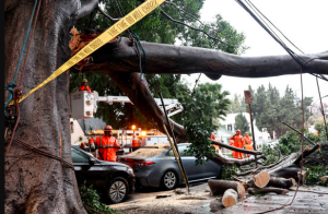 unraveling-the-impact-exploring-the-varied-landslide-effects-triggered-by-las-recent-major-storm