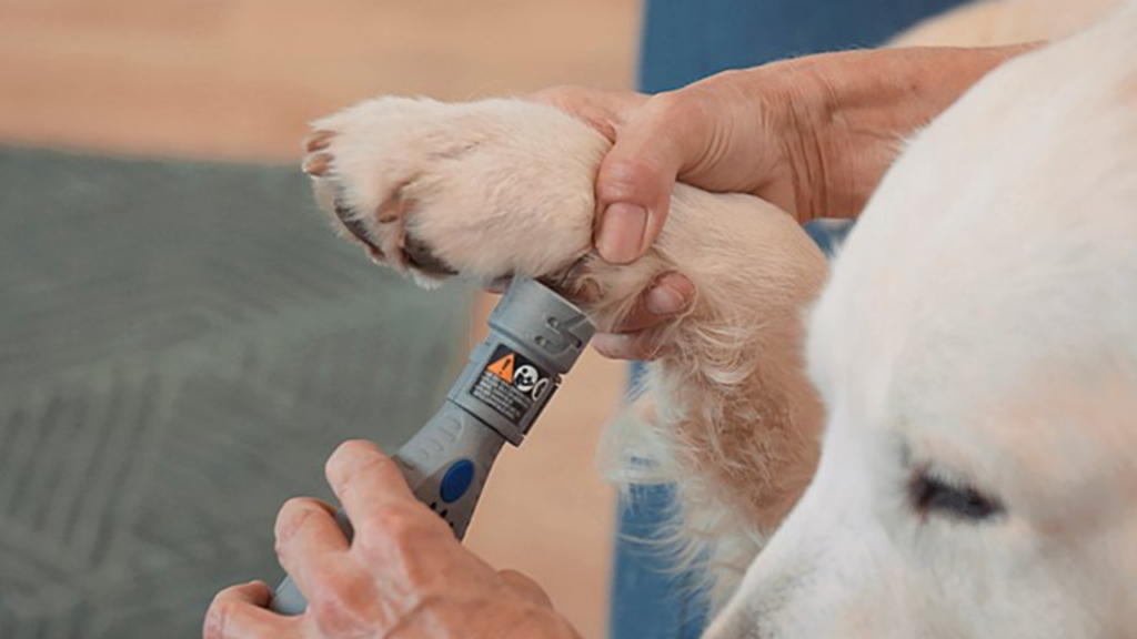 Learn how To Use a Dremel to Cut Your Dog's Nails!