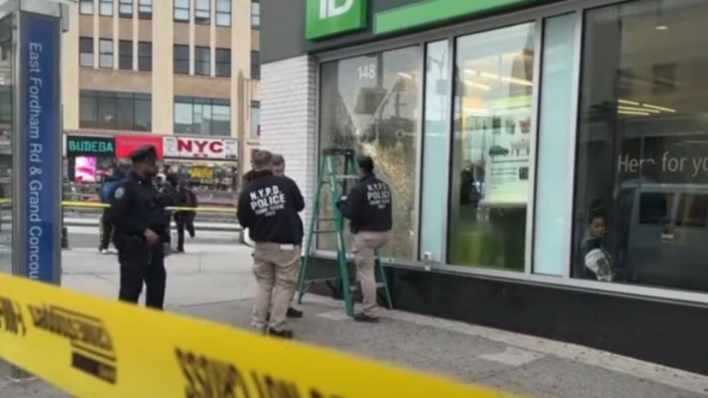 Shot Two-Year-Old While Walking Down New York Street with Mom: "Violence Everywhere"!