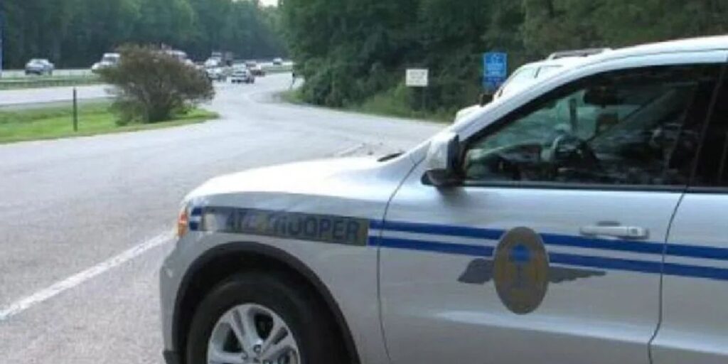 South Carolina DRIVER DIES IN EARLY MORNING CRASH on Cainhoy Road, Investigation Underway (1)