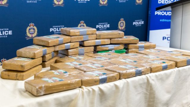 Cocaine Seized Just Before Christmas Law Enforcement Strikes in Major Bust (1)