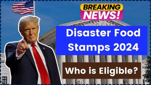 Disaster Food Stamps 2024 Only These Groups Qualify For D-SNAP in Florida – Check Now! (1)