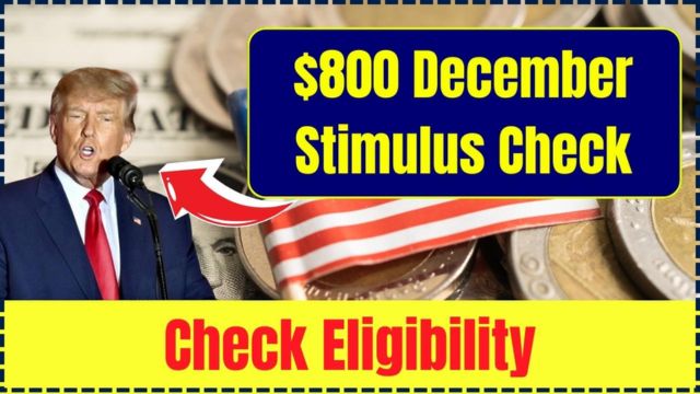 Is the $800 December Stimulus Check Coming Your Way Here's What You Need to Know (1)