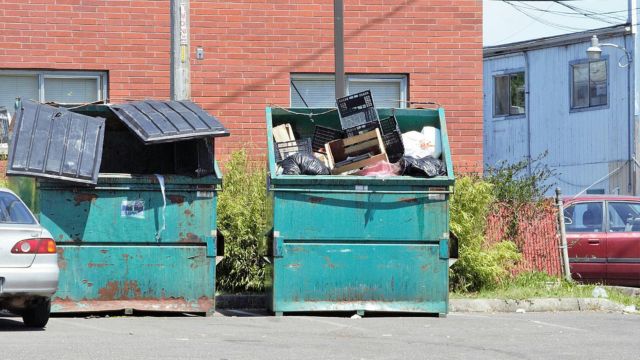 The Truth About Dumpster Diving in Idaho Legal Implications Explained (1)