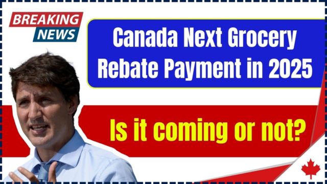 Will the Grocery Rebate Payment Arrive in 2025 Find Out Eligibility and Expected Date (1)