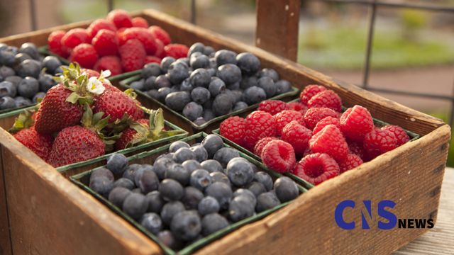 5 Super Fruits and Berries That Will Transform Your Health (1)