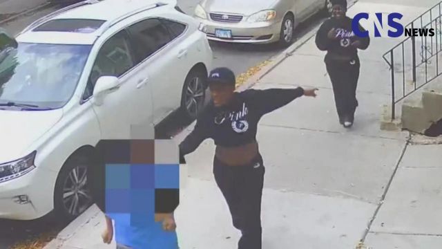 Chicago Carjacking and Battery Leads to Arrest of Suburban Man and Teen Girl (1)