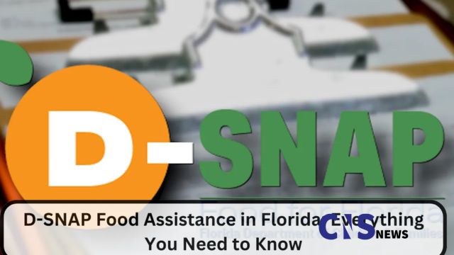 Florida D-SNAP 2024 Are You Eligible for Disaster Food Assistance Find Out Now (1)