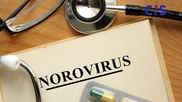 Norovirus Hits Illinois Essential Information on the Outbreak and How to Stay Healthy (1)