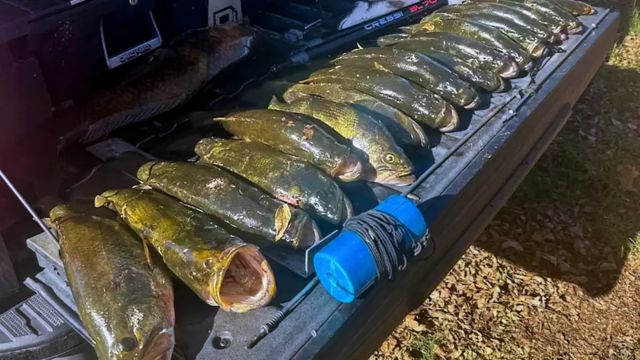 Texas Authorities Bust Two for Illegal Spearing of Largemouth Bass (1)