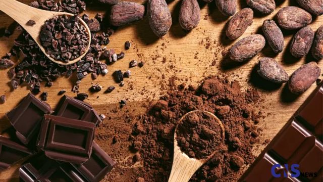 Texas Set to Open $20 Million Chocolate Factory in 2026